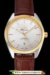 Omega Globemaster Silver Dial Gold Bezel Stainless Steel Case Brown Leather Strap En122239